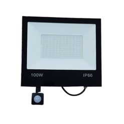 E839-Prozhektor led 100W me sensore