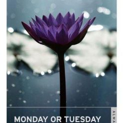 Monday Or Tuesday