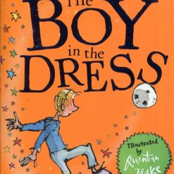 Boy In The Dress