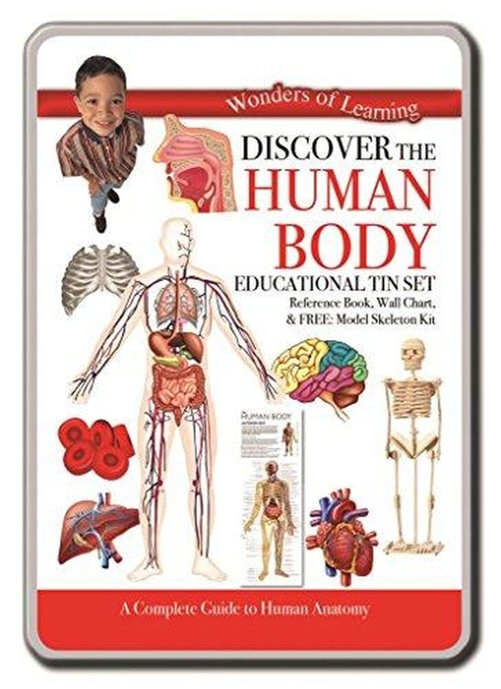 Discover Human Body Educational Tin Set 1 Discover Human Body Educational Tin Set