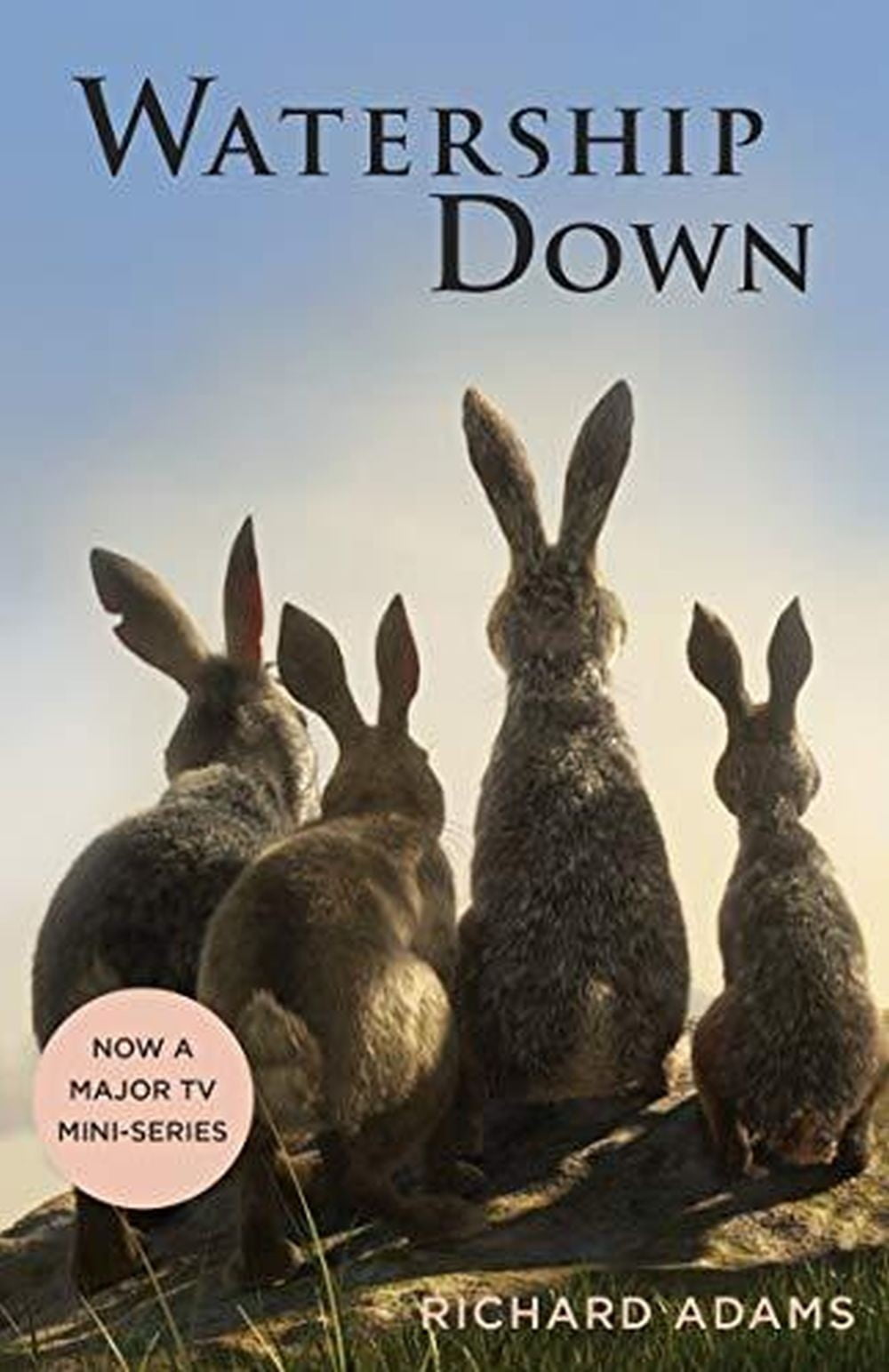 Watership Down 1 Watership Down