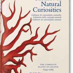 Cabinet Of Natural Curiosities