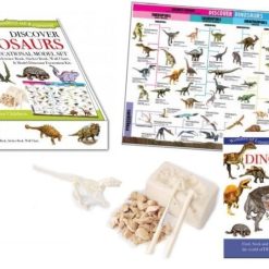 Discover Dinosaurs Educational Model Set