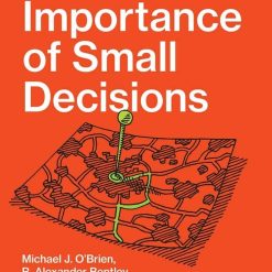 The Importance Of Small Decisions
