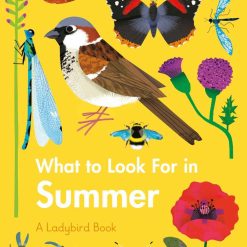 What Yo Look For In Summer
