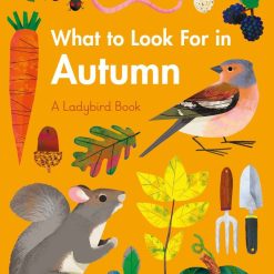 What Yo Look For In Autumn