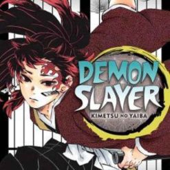 Demon Slayer Vol. 20