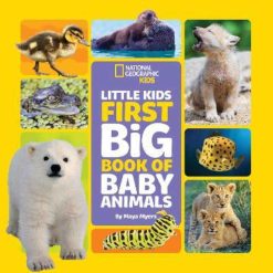 Little Kids First Big Book Of Baby Animals