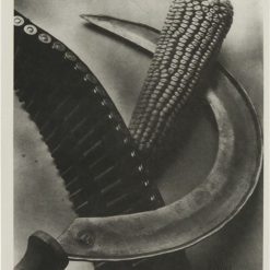 Politika E Instalacionit