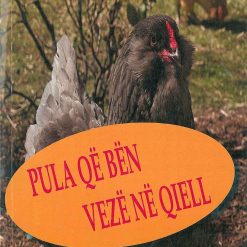 Pula Qe Ben Veze Ne Qiell