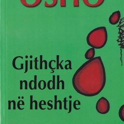 Gjithcka Ndodh Ne Heshtje