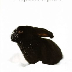 E Vecanta E Dhjetorit