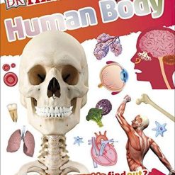 Findout Human Body