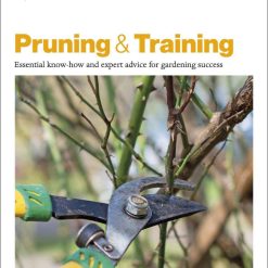 Pruning & Training