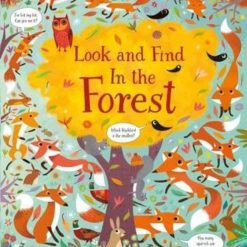 Look And Find In The Forest