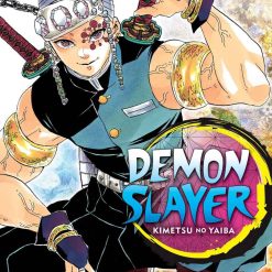 Demon Slayer Vol 09