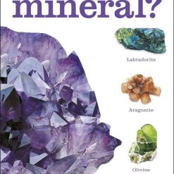 What's That Rock Or Mineral?