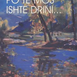 Po Te Mos Ishte Drini