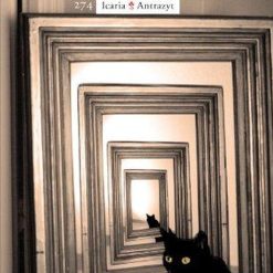 Salir Del Callejon Del Gato