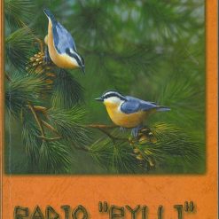 Radio Pylli