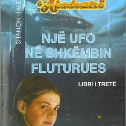 Nje Ufo Ne Shkembin Fluturues