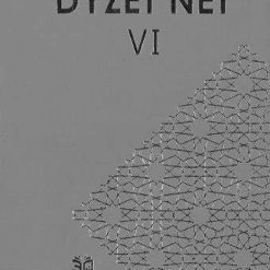 Dyzet Net vi
