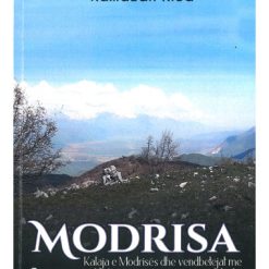 Modrisa